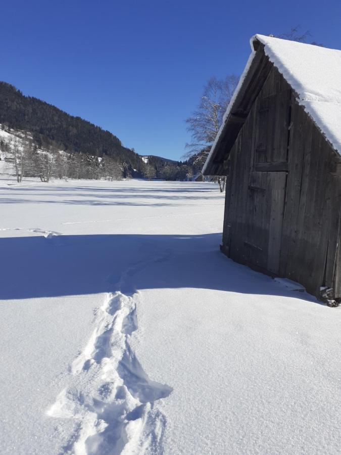 Chalet Catton Two Bedroom Appartement Near Bad Kleinkirchheim Radenthein Eksteriør billede